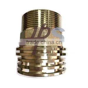 High Quality Brass Threaded PPR Insert for PPR Fitting thumbnail-1