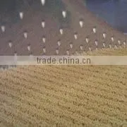 Hot Selling How To Apply Scotchgard Carpet Protector With Low Price thumbnail-1