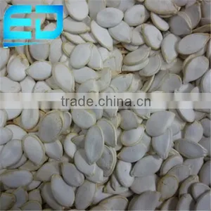 Chinese In Shell Pumpkin Seeds, Snow White Pumpkin Seeds thumbnail-1