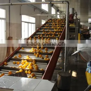 5.5 Tons Tomato Jam Production Line thumbnail-1