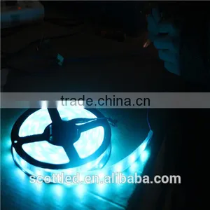48leds/m 5050 SMD RGB LED Flexible Strip, DC12V/24V Input, 5m/roll, Waterproof IP20/IP65/IP67 thumbnail-1