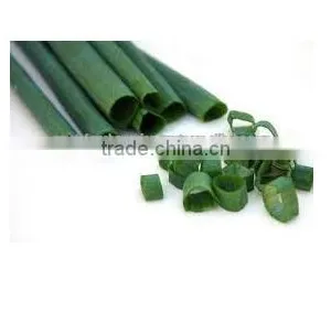 Spring Onion thumbnail-5