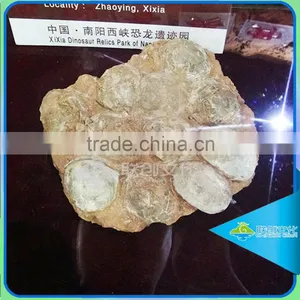 Museum Artificial Dinosaur Fossil Model Dinosaur Egg Replica thumbnail-2