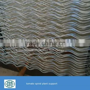 Glavanized Steel Bar Tomato Spiral Support Rod for Plant Climbing thumbnail-3