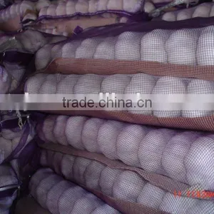 Pure White Garlic thumbnail-1