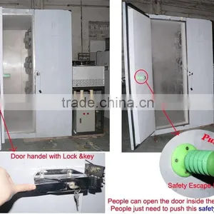 Instant Freezer for 300kg Strawberry Freezing thumbnail-5