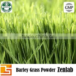 Best Selling Natural Green Barley Grass Powder thumbnail-6