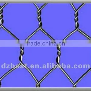 Electric Galvanized Chicken Wire Mesh thumbnail-1