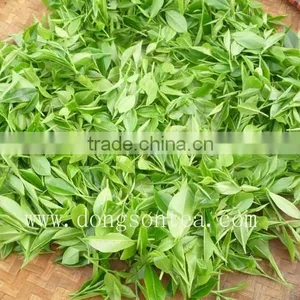 Thai Nguyen Green Tea thumbnail-5