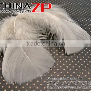 CHINAZP Good Quality Plumage Wholesale Dyed Ivory Turkey T-Base Body Feathers for Sale thumbnail-3