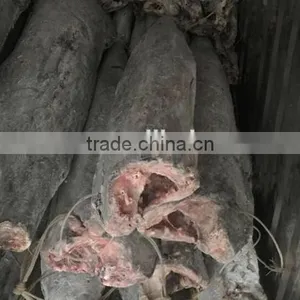 New Arrival Black Marlin HGT(DWT) of High Quality for Sale thumbnail-1