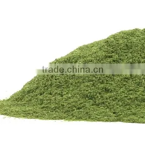 Neem Leaf Powder Indian Origin thumbnail-2
