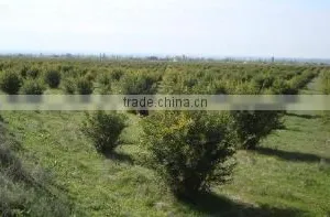 Aromaproduct Ltd company overview - view 1 thumbnail