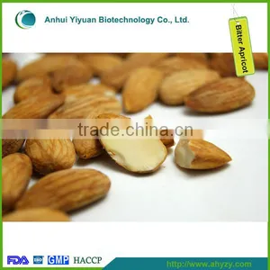 Bitter Apricot Kernel/Sweet Apricot Kernel thumbnail-2