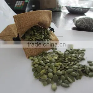 Organic Pumpkin Kernels Grow Without Shell for Oil Use thumbnail-1
