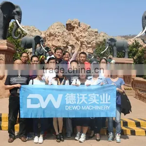Henan Dewo Machinery Co., Ltd. company overview - view 3 thumbnail