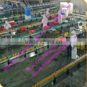 Professional and Factory Price Orange Canned Production Line thumbnail-5