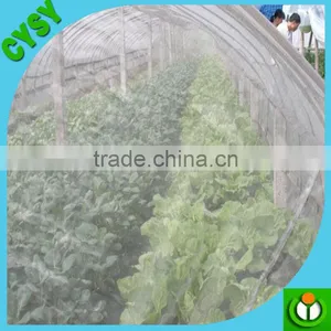 Plastic Fly Screen Mesh in Rolls,insect Screen Mesh,insect Mesh Netting thumbnail-6