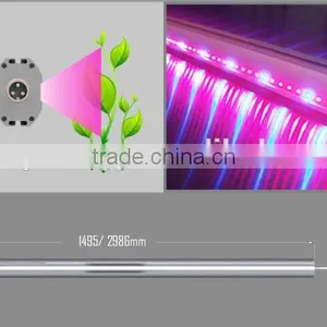 Vanq Interlighting 150W LED Grow Light Bar for Strawberry Seeds thumbnail-1