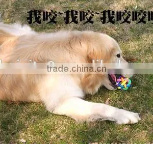 CY188 For Small Dog Toys Product For Dog Colorful Rubber Dog Toy Ball, Pet Dog Toys With Bell For Small Medium Large Dog thumbnail-5