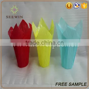 Wholesale Various Colors Bopp Plastic Flower Pot thumbnail-4