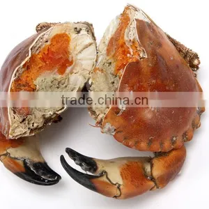 Brown Crab thumbnail-4
