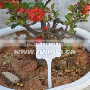 152mm Garden Plastic Recycling Plants Tags/Lables thumbnail-1