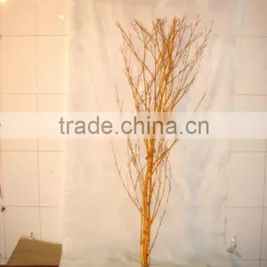Bamboo Tree thumbnail-1