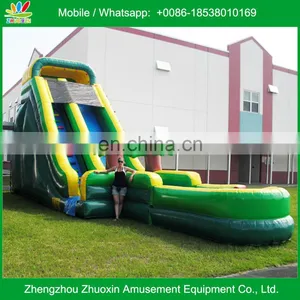 Amazing Excitement Inflatable Screamer Water Slide With Pool thumbnail-1