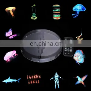 Stock! Photo Booth in China Custom 3d Logo Holographic Display Led Fan 3d Led Hologram Fan thumbnail-6