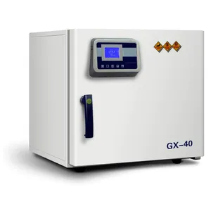 Thermostatic Drying Oven -GX thumbnail-1