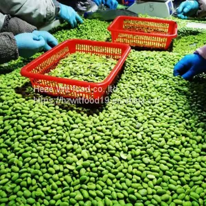 Frozen Soybeans Pods and Kernels thumbnail-5