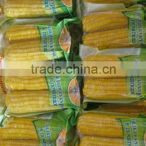 USA Frozen Yellow Sweet Corn Exporting Vietnam thumbnail-1