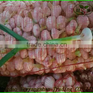 (NEW) 2015 FRESH Garlic/New Garlic;HOT! HOT! HOT! thumbnail-3