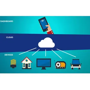 Efficiency Redefined Custom Software Development for International Markets thumbnail-3