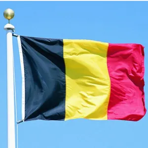 Sea, Air, Railway, and Truck Transportation Services From China to Belgium Amazon FBA Service thumbnail-1