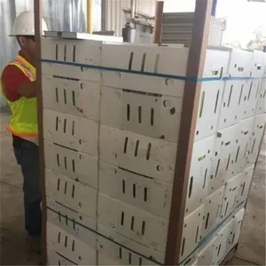 PP Corrugated Plastic BOX Corflute Correx Okra Box for Agriculture Vegetable Box thumbnail-5