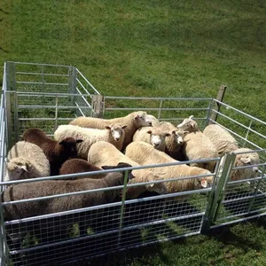 2025 Hot Sale Galvanized Steel Sheep Yard /sheep Panel / Goat Panel thumbnail-4