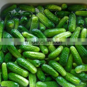 BEST STANDARD PICKLED CUCUMBER thumbnail-1
