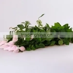 Cheap Honey Peach Economic Single Rose Flower Delivery thumbnail-6