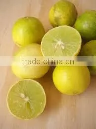 Lemon Juice thumbnail-1