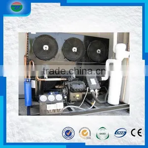 Unique Style 6SJH-4000 Mini Copeland Condensing Unit thumbnail-1