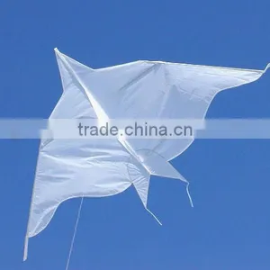 Delta Kite thumbnail-1