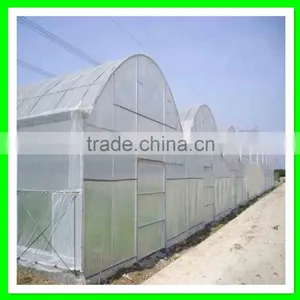 Suntex Large Size Agricultural Greenhouses Type Anti Insect Netting Plastic Bird Mesh thumbnail-5