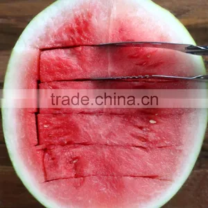 Stainless Hami Melon Corer thumbnail-4