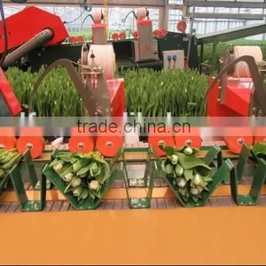 NWH13 Industrial Binding Elastic Thread of High Quality thumbnail-1