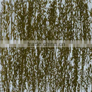 Natural Leaf With Polystyrene Sandwich Panel Acrylic Door Designs thumbnail-4