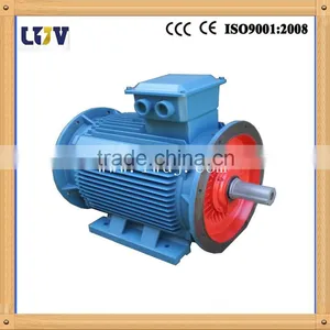 YE3 Super Efficient Motor Agent thumbnail-1