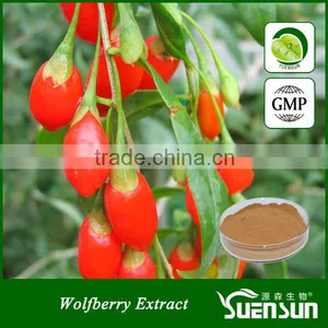 Chinese Ningxia Goji Polysaccharide 30% Goji Berry Extract thumbnail-1