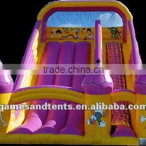 Inflatable Amusement Park, Inflatable Water Slide A4038 thumbnail-1